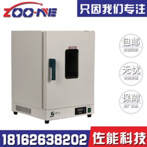 電熱鼓風(fēng)干燥箱_電熱鼓風(fēng)干燥箱烘箱工業(yè)恒溫烤箱實(shí)驗(yàn)室真空商用