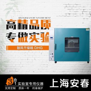 電熱鼓風(fēng)干燥箱_安恒溫鼓風(fēng)干燥箱工業(yè)高溫烤箱烘干箱