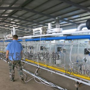 食品生產(chǎn)線_2015年熱銷天然氣食品隧道爐烤爐休閑食品生產(chǎn)線山東