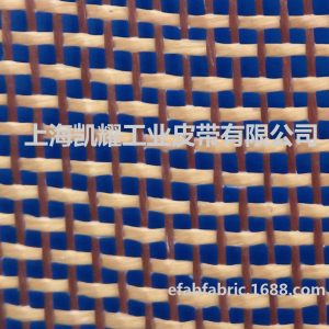 網(wǎng)孔烘干帶_1*1耐折印跡特氟龍聚四氟乙烯高溫輸送網(wǎng)烘干帶