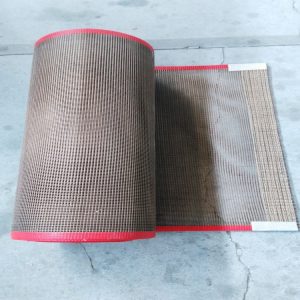 特氟龍網(wǎng)格輸送帶_涂布機(jī)特氟龍網(wǎng)格輸送帶pe保護(hù)膜涂布機(jī)用鐵氟龍