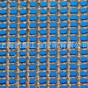 特氟龍網(wǎng)帶_廠家提供加密型特氟龍網(wǎng)帶8004加強(qiáng)型特氟龍網(wǎng)帶