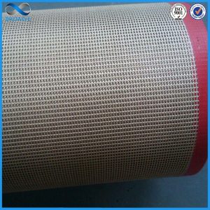 特氟龍網(wǎng)帶_批發(fā)供應(yīng)特氟龍網(wǎng)帶扁絲型網(wǎng)帶耐高溫烘干機(jī)品質(zhì)保證