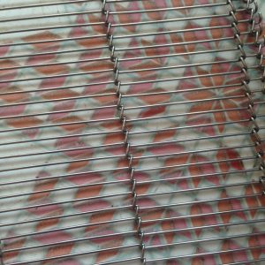 食品機(jī)網(wǎng)帶_深圳廠家熱銷丸鐵輸送網(wǎng),食品機(jī)網(wǎng)帶,耐高溫特氟龍管