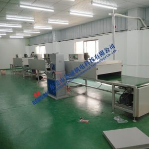 工業(yè)隧道爐_東莞工業(yè)恒溫隧道爐輸送式烤箱