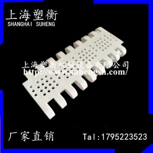 特氟龍網(wǎng)帶_食品級(jí)塑料網(wǎng)帶耐高溫模組網(wǎng)帶耐酸堿模塊網(wǎng)格化