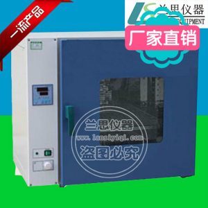 電熱鼓風(fēng)干燥箱_湖南烘箱干燥箱廠家供應(yīng)恒溫鼓風(fēng)干燥箱工業(yè)烘箱批發(fā)