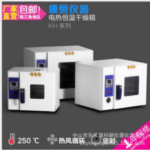 電熱鼓風(fēng)干燥箱_實驗室工業(yè)烤箱烘干箱電熱恒溫干燥箱電熱鼓風(fēng)
