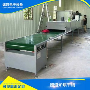 帶式輸送機(jī)_直銷供應(yīng)高溫隧道爐烘干流水線噴油流水線帶式加工定制