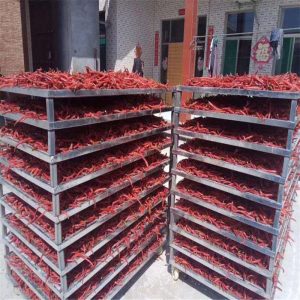 熱風(fēng)循環(huán)烘箱_熱風(fēng)循環(huán)烘箱果蔬烘干機(jī)箱式節(jié)能蘑菇