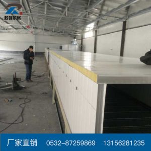 工業(yè)烤箱_輸送帶烘道隧道式流水線工業(yè)烤箱電子高溫現(xiàn)貨