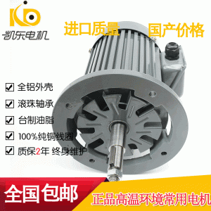 耐高溫電機_電機廠家直銷耐高溫電機隧道式烘干爐設(shè)備電機250度高溫