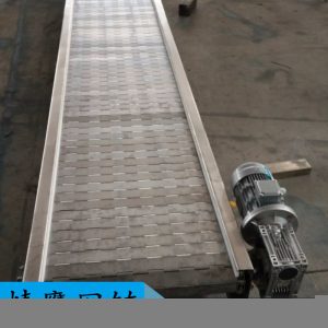 鏈板輸送機(jī)_廠家不銹鋼鏈板傳送機(jī)高溫烘干流水線隧道爐鏈板