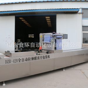 真空包裝機(jī)_山東環(huán)口罩拉伸膜包裝機(jī)全自動真空封口廠家直銷