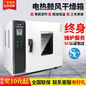 箱式干燥設(shè)備_鼓風(fēng)干燥箱電熱恒溫小型烘箱靜音實驗室烘干箱工業(yè)烤箱老化烘干機(jī)