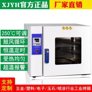 深圳工廠電熱鼓風干燥箱琥珀加工實驗室恒溫烤箱不銹鋼小型烘干箱