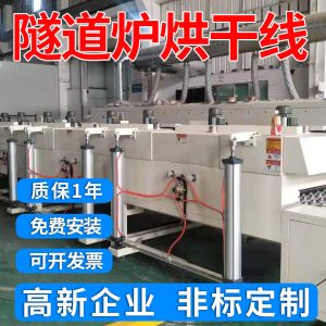 深圳定制隧道固化爐復(fù)合新材料隧道爐烘干線絲印隧道爐生產(chǎn)廠家
