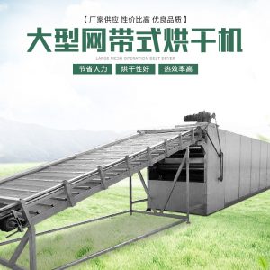 定制不銹網(wǎng)帶烘干線隧道式烘干機(jī)鐵氟龍隧道爐絲印烘道流水線批發(fā)